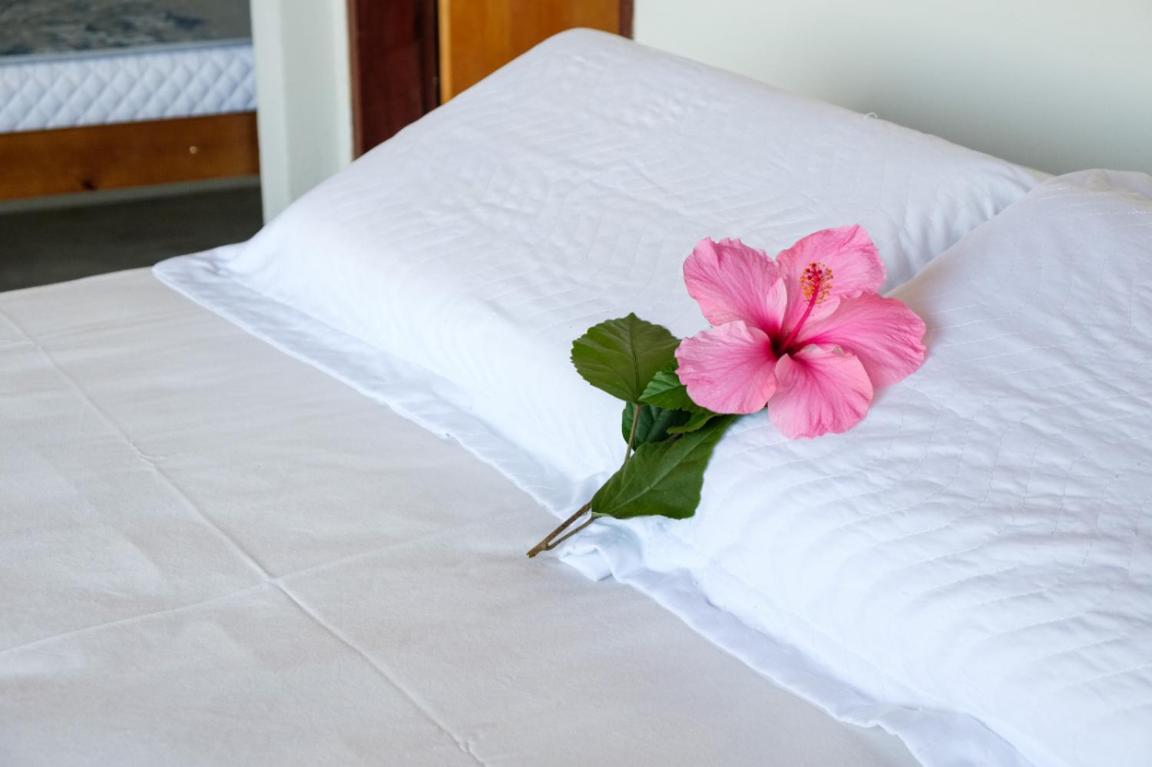 Haleiwa Chales E Suites - A Guest House Do Prumirim 우바투바 외부 사진